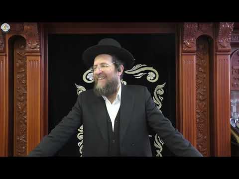 הדף היומי מסכת יבמות דף כג