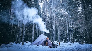 Solo Winter Camping Bushcraft Tent - Woodstove & Wildlife