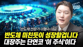 반도체 미친듯이 성장할 겁니다, 대장주는 단연코 '이 주식'이다 (이형수 대표)