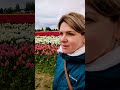 Поля тюльпанов 🌷в Вашингтоне, гуляем с дочкой