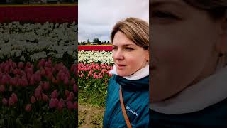 Поля тюльпанов 🌷в Вашингтоне, гуляем с дочкой