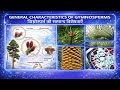 General Characteristics of Gymnosperms | जिम्नोस्पर्म की सामान्य विशेषताएँ | Botany