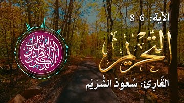 سورة التحريم  |  الآية 6 إلى 8  |  القارئ: سعود الشريم 🌹