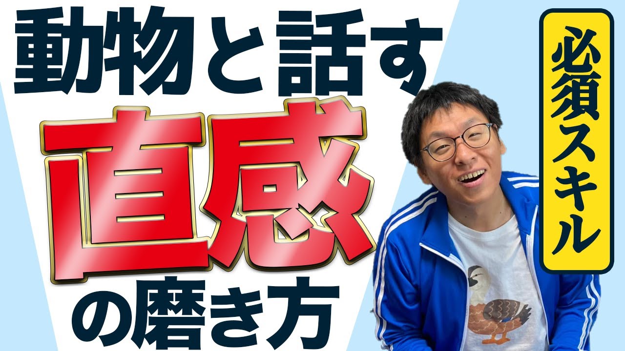 動物と話す最重要項目”直感”の磨き方【アニマルコミュニケーション】