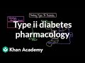 Understanding and Treating Type II Diabetes