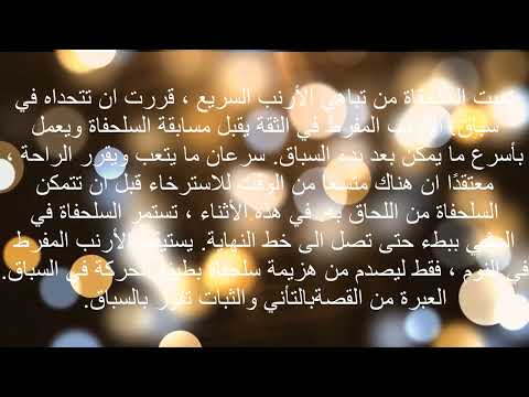 قصة الأرنب والسلحفاة قصة هادفة رائعة 