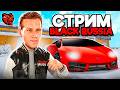 ТЕСТИРУЕМ НОВОЕ ОБНОВЛНИЕ! СТРИМ на БЛЕК РАША - BLACK RUSSIA