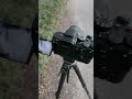 33mp VS 100mp - Can You Spot the Difference?
