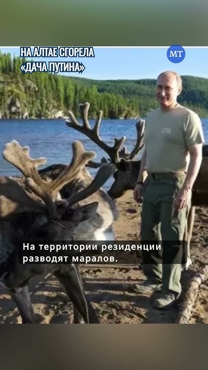 На Алтае сгорела «дача Путина» - YouTube