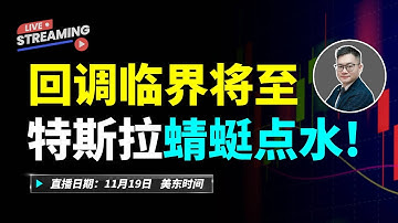 回调临界将至，特斯拉蜻蜓点水？！#美股 #特斯拉 #英伟达   #MU #COIN #TSLA #amd #PLTR