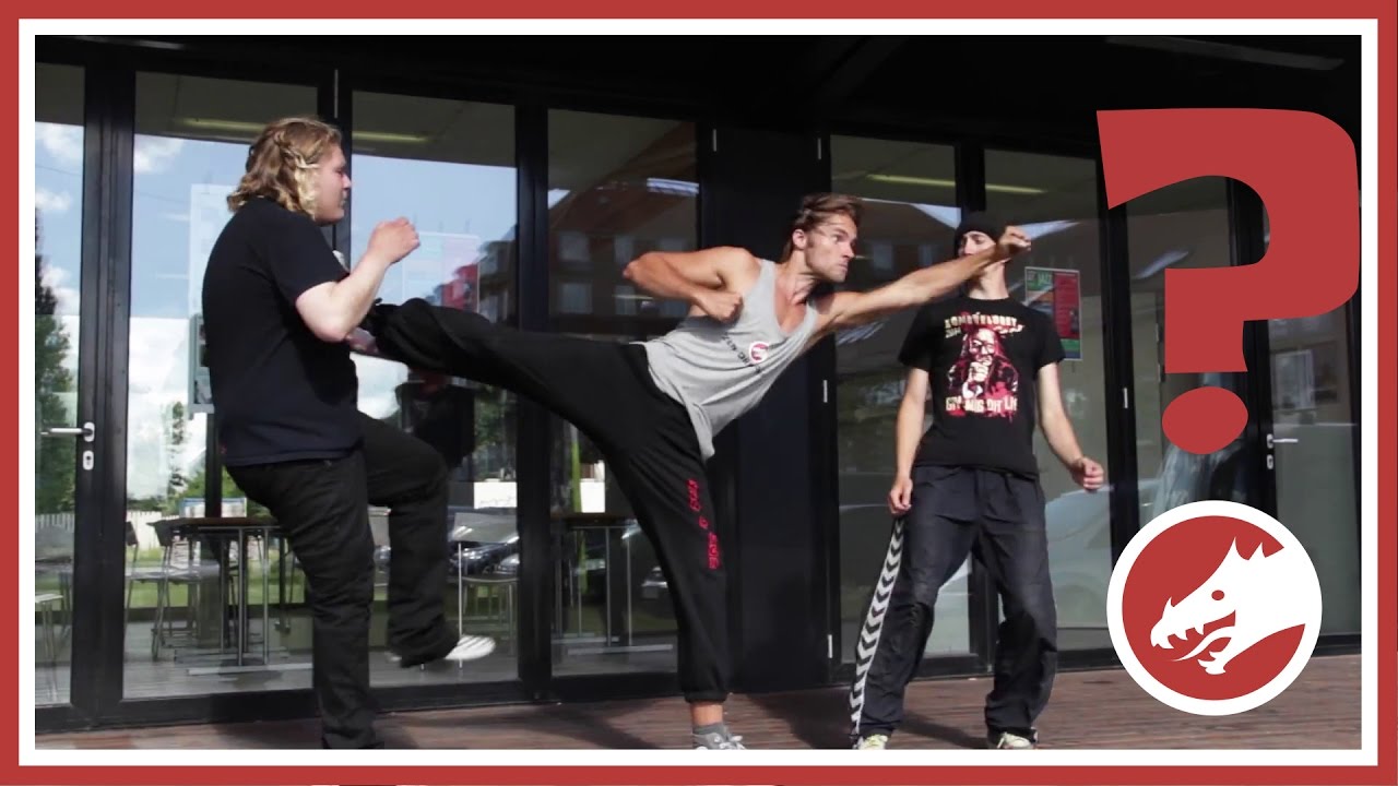 Zen-Dragon is for YOU... here's why!