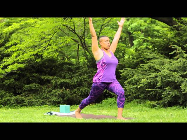 Full Length Gentle Yoga Class for Beginners and Seniors Vol. 2 class=