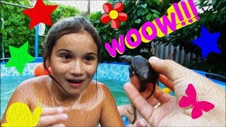 Дети в ШОКЕ!!! КТО ПРИШЕЛ К НАМ В БАССЕЙН ??? Дети в ШОКЕ!!! КТО ПРИШЕЛ К НАМ В БАССЕЙН ???