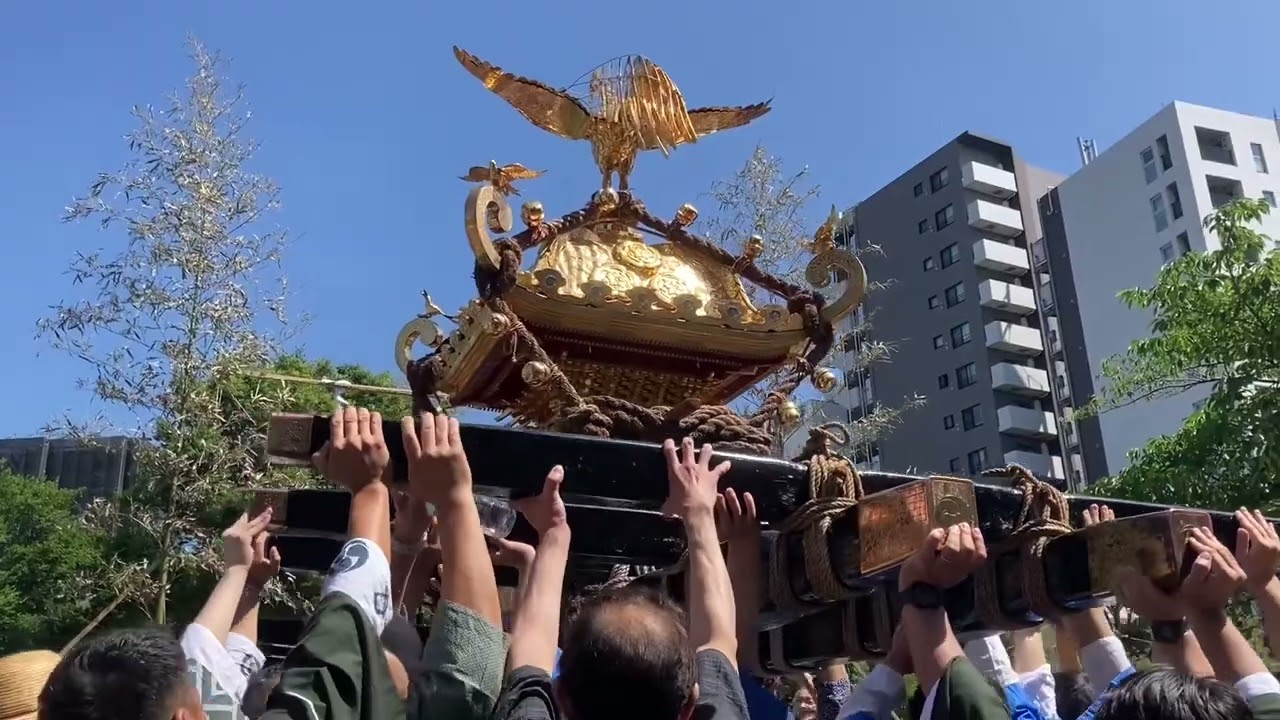 2025年荏原神社南睦会大神輿渡御