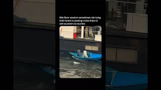 SOMETIMES MORE DANGEROUS TO CATCH THE SHIP#news #shorts #ocean #ship #trending #viral #youtubeshorts