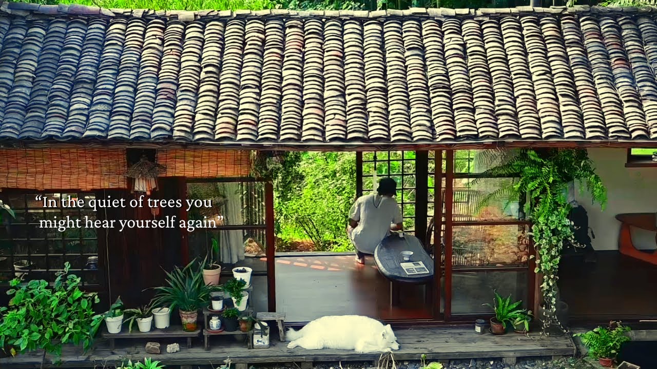 In the quiet of trees you might hear yourself again.../a playlist for quiet hours/