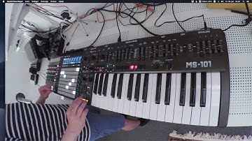 9-step polymeter - Behringer MS-101, Ableton Push and LaunchControl XL