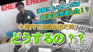 【EHEIM】油膜が出た時の３つの対処法　エーハイムアンバサダー志藤範行氏