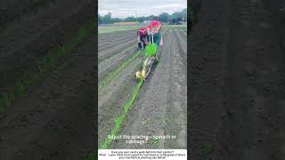 Chaindriven Seedling Planter Fast Row Cropping With A Walkbehind Tool