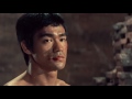 Bruce Lee vs Chuck Norris "The Way of the Dragon" (1972) fight scene archives