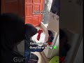 Petua Orang Dulu Halau Serangga Dalam Rumah Guna Daun Serai Wangi Je Sekarang Kita Spray2 Je SWiPEL Petua Orang Dulu Halau Serangga Dalam Rumah Guna Daun Serai Wangi Je Sekarang Kita Spray2 Je SWiPEL