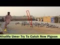 Khalifa Zain and Khalifa Umer try To catch Pigeon - Pigeons Loft