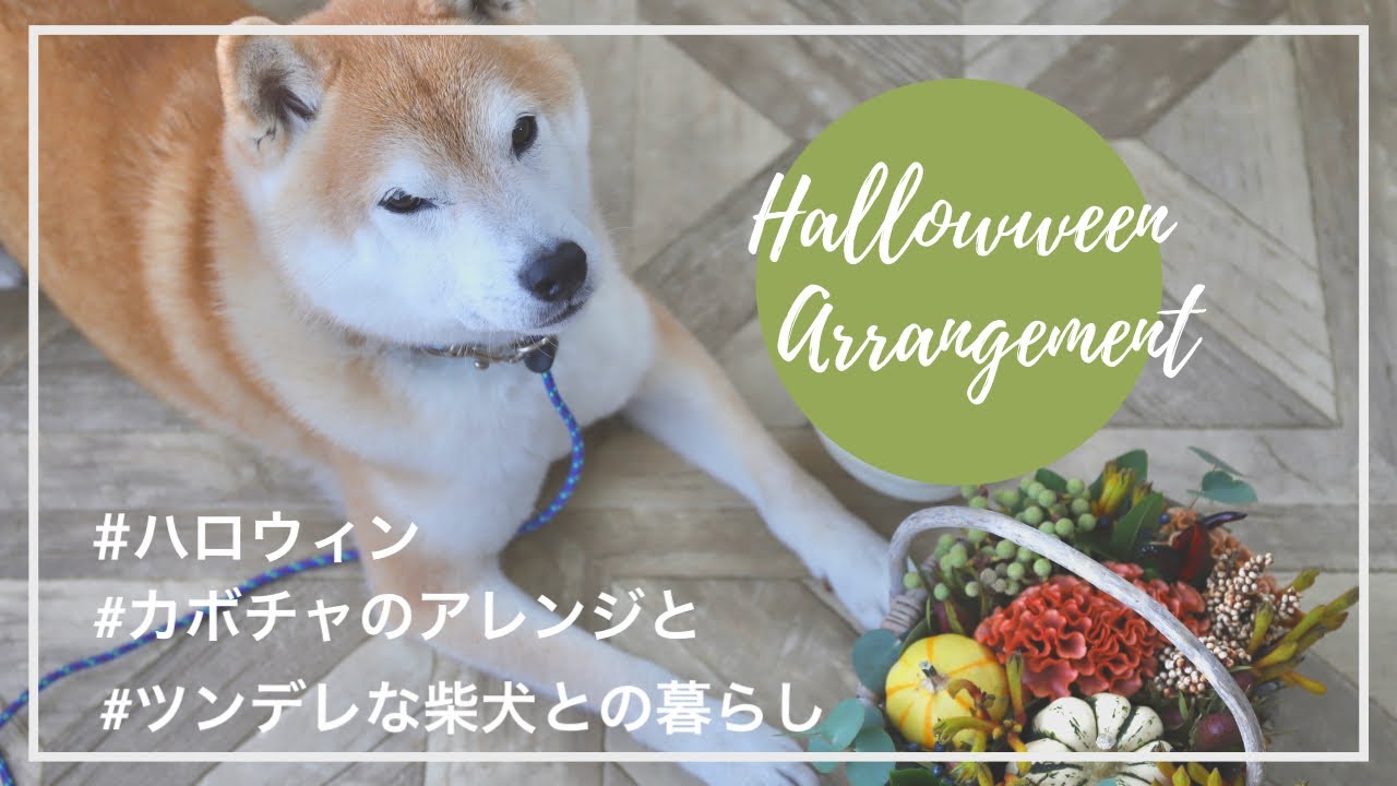 そのままドライに ハロウィンアレンジの作り方 ハロウィンにピッタリのかぼちゃを使ったちいさなアレンジメントの作り方をご紹介 Youtube