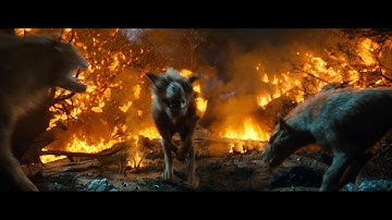 Out of the Frying Pan Clip