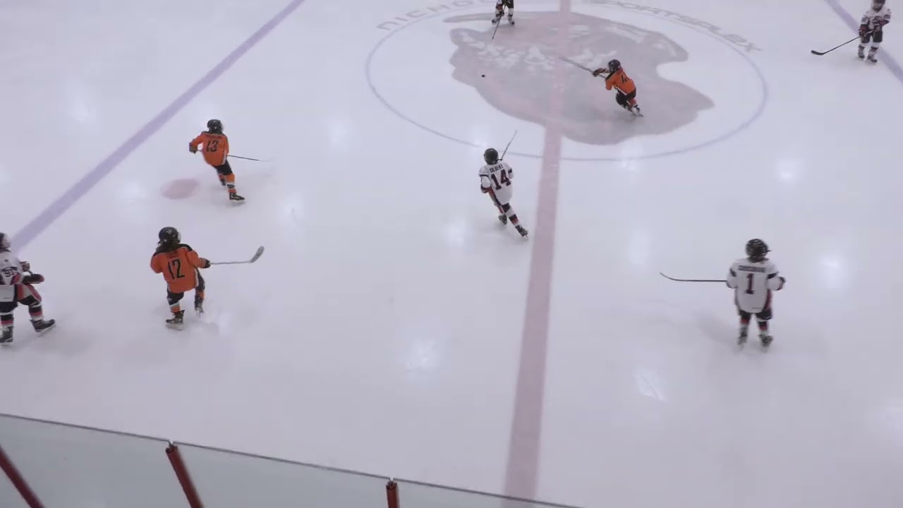 Chicago Reapers vs Philadelphia Little Flyers - 10U AAA Hockey - 12/6/25