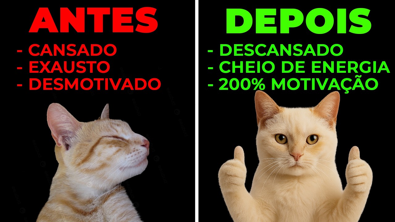 Como realmente DESCANSAR? (cientificamente)