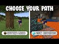 Minecraft if you could choose your path