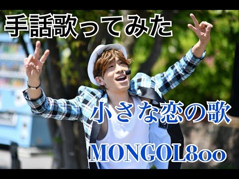 【手話歌ってみた】小さな恋の歌/MONGOL800（歌詞付き）