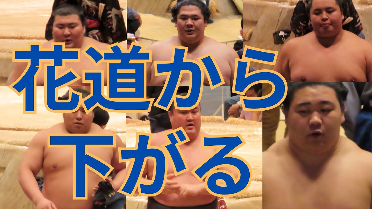 力士が花道から下がるだけの動画(明治神宮力士選士権)#相撲 #sumo - YouTube