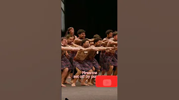 Real Kapa Haka Maori Dance Subscribe Shortsvideo Foryou 