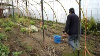 Huerta ecolóxica Pena do Conchado, en Muxa (Lugo)