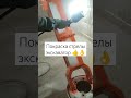 17 февраля 2024 г.