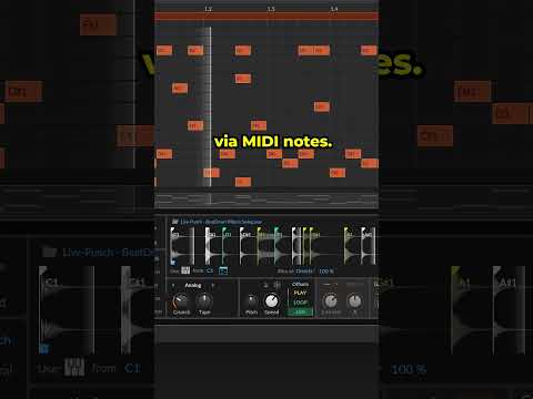 Advanced slicing in Bitwig’s Sampler🍴