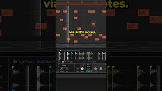 Advanced slicing in Bitwig’s Sampler🍴