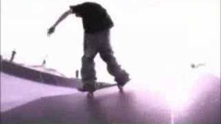 Wenning pro model (DC shoes)