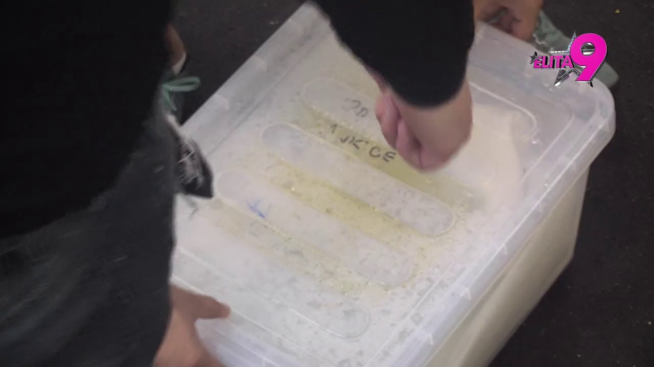 Elita 9: Anastasija napljuvala Boru, pa od njega dobila punu kutiju poniženja - 18.01.2026.