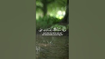 بسم الله الرحمن الرحيم(وإذا سألك عبادي عني فإني قريب) بصوت القارئ أحمد الخضر