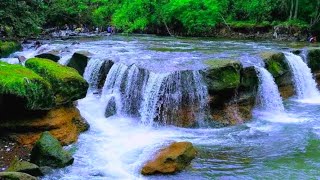 Relaxing Sounds of River Water for Sleeping, Water Sounds Deep Sleep, Relaxing Bird Sounds of Nature