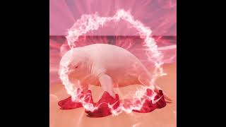 Belulero Belula Original Italian Brainrot