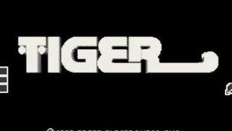 Tiger Gamecom Start Up