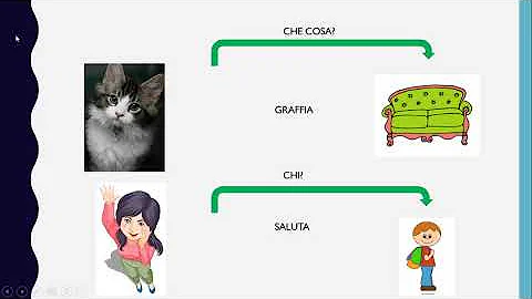 Come può essere la forma del verbo?
