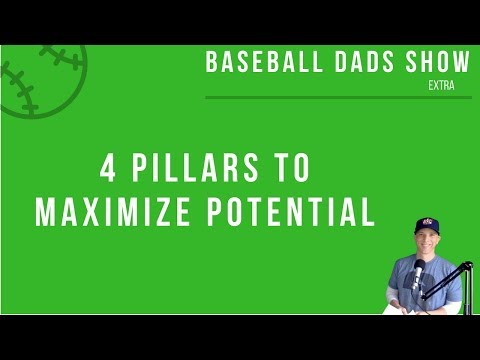 4 Pillars To Maximize Potential - Paul Reddick Baseball