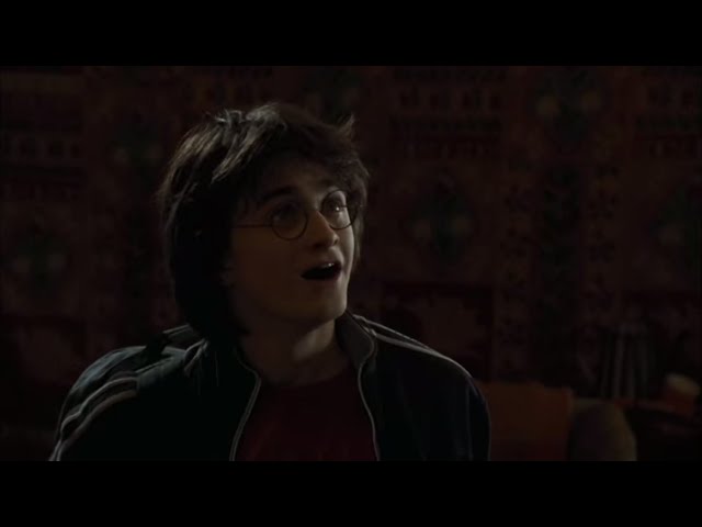 Quidditch World Cup | Harry Potter and the Goblet of Fire - YouTube