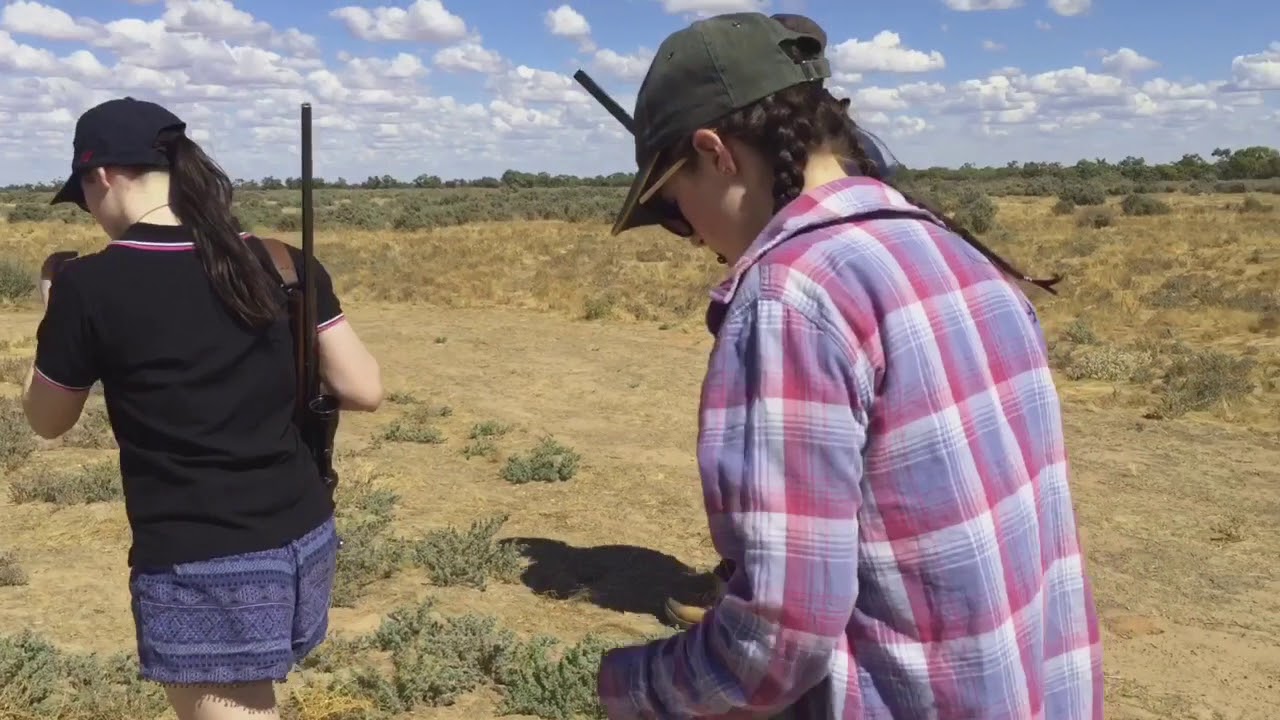 Ivanhoe 2017 | MORAE RYAN