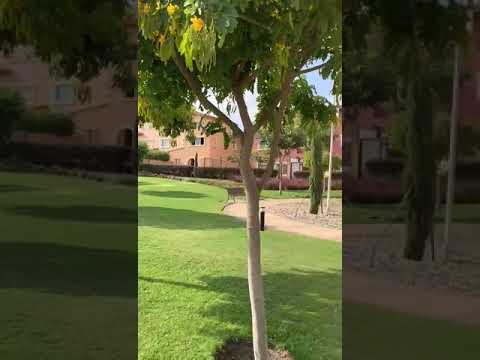 شقة للبيع بالتقسيط في كمبوند هايد بارك التجمع الخامس بجوار ميفيدا Hyde Park New Cairo 