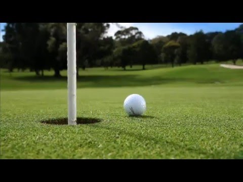 Heel \u0026 Tone Productions/Shore Z Prods./Bad Hat Harry Productions/Universal Media Studios (2007)